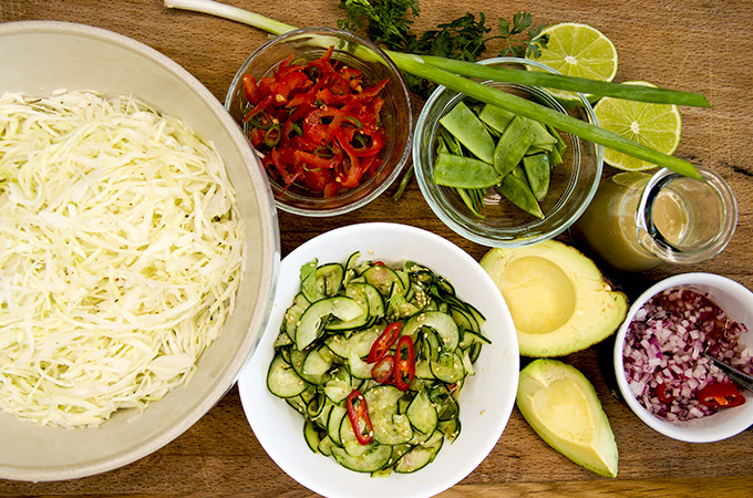 Asian Cabbage Salad Ingredients